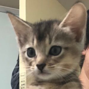 Meet your Posher, Mingzi